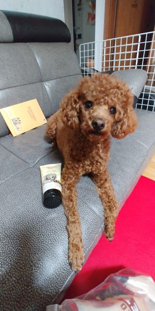 버츠비 케어플러스 릴리빙포앤노즈로션 — 5점을 준 리뷰어가 2021년 4월 올린 사용 사진