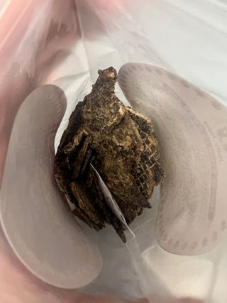 코끼리님이 올린 리뷰 사진 2