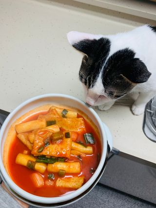응큼떡볶이 — 5점을 준 리뷰어가 2021년 3월 올린 사용 사진
