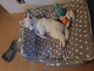 쥴리님이 올린 리뷰 사진 3
