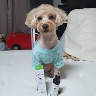 기린짱맘님이 올린 리뷰 사진 3