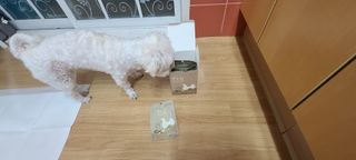 도그퓨어 푸드닭 강아지 닭고기 통살 애견간식 오리지널/차전자피/초록입홍합 — 5점을 준 리뷰어가 2021년 11월 올린 사용 사진