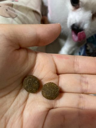 또왔엉님이 올린 리뷰 사진 3