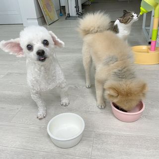 예나님이 올린 리뷰 사진 1