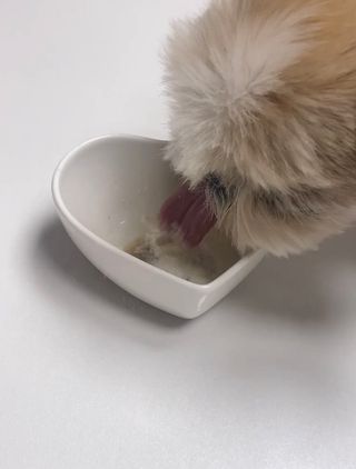 jenny님이 올린 리뷰 사진 4