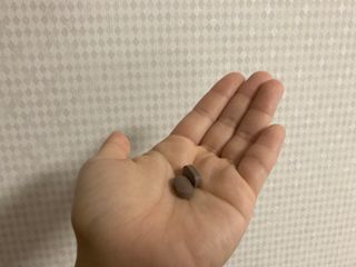 닥터피엔티 [Dr.PNT] 하루 2알로 건강한 다이어트! 한겨울에도 체지방만 쏙~ 슬림핏 다이어트 — 5점을 준 리뷰어가 2022년 5월 올린 사용 사진