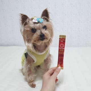 솜희님이 올린 리뷰 사진 3