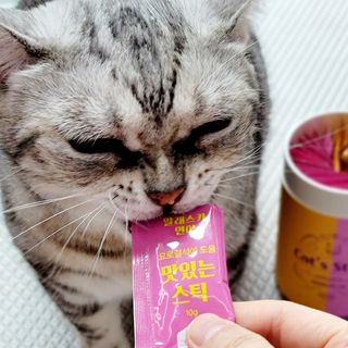 페페로니 맛있는 스틱 - 무항생제 닭고기 15개 + 알래스카 연어 15개 — 5점을 준 리뷰어가 2021년 9월 올린 사용 사진