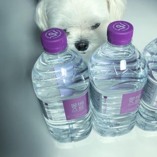 몽베스트 MONTBEST 1L 12입 — 5점을 준 리뷰어가 2022년 2월 올린 사용 사진