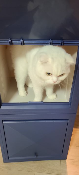 논지님이 올린 리뷰 사진 1