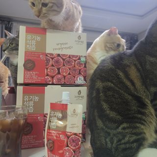이째님이 올린 리뷰 사진 3