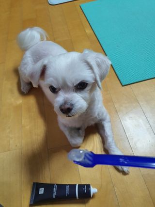 단츄♡님이 올린 리뷰 사진 3