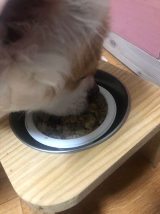 ㅇㅅㅇ님이 올린 리뷰 사진 4