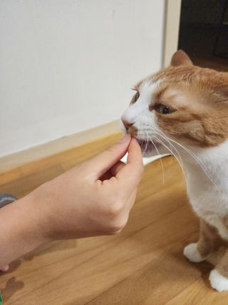 호야맘님이 올린 리뷰 사진 3
