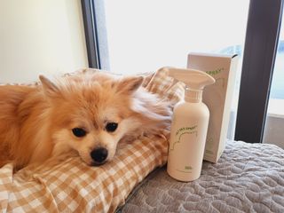 [푸푸몬스터] 비건 펫 데오 스프레이(탈취제) 500ml (유향/무향 택 1) — 5점을 준 리뷰어가 2022년 7월 올린 사용 사진