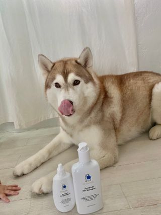 젤리님이 올린 리뷰 사진 2