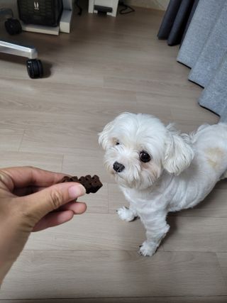 둥가둥가우리도도님이 올린 리뷰 사진 1