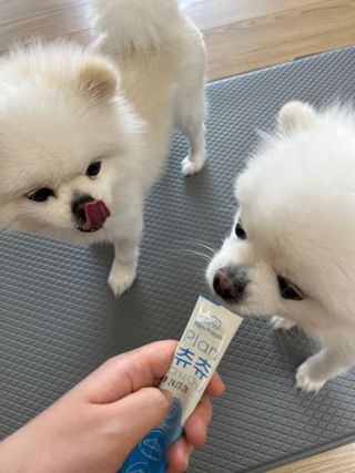 도로2님이 올린 리뷰 사진 3
