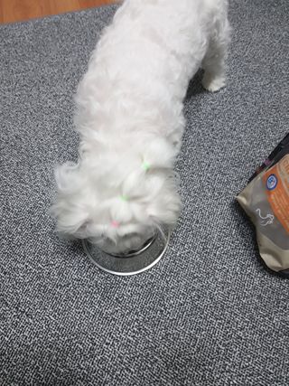 두부님이 올린 리뷰 사진 4