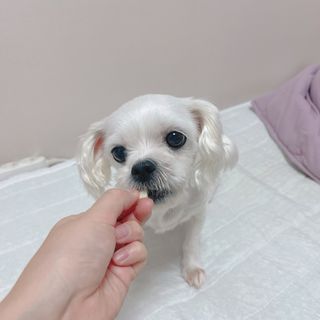 Ruru1412님이 올린 리뷰 사진 4