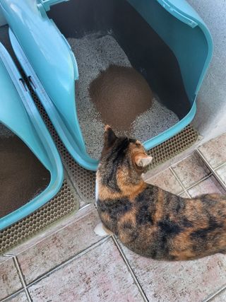 호롤로님이 올린 리뷰 사진 3