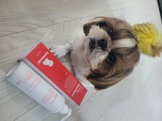 [댕모어 샴푸 2종] 댕샴푸 / 퍼피샴푸  2종 세트 (300ml) — 5점을 준 리뷰어가 2023년 10월 올린 사용 사진