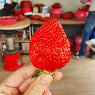 gpwn0902님이 올린 리뷰 사진 3
