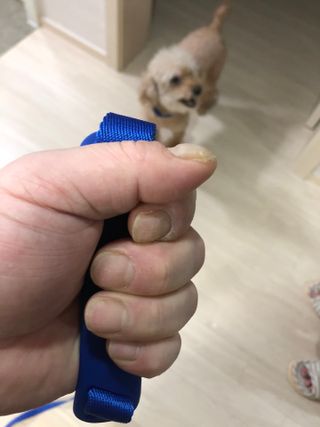 지구별철학자님이 올린 리뷰 사진 2