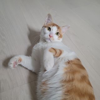 쓔리님이 올린 리뷰 사진 2