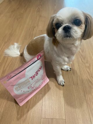 My Pet Care 천연단백질 관절건강에 개좋아 — 5점을 준 리뷰어가 2021년 3월 올린 사용 사진