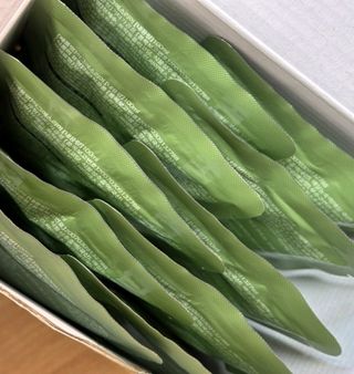 다운동호랭이님이 올린 리뷰 사진 2