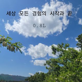0.8L 마케팅팀 - — 5점을 준 리뷰어가 2021년 5월 올린 사용 사진