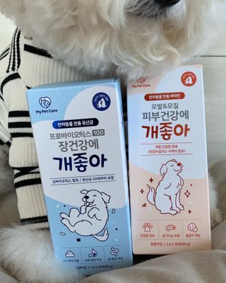 비베숑님이 올린 리뷰 사진 3