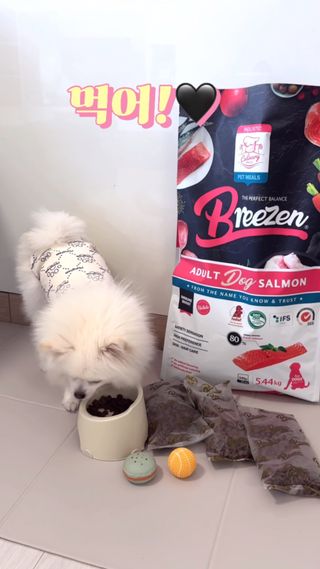 borana님이 올린 리뷰 사진 3