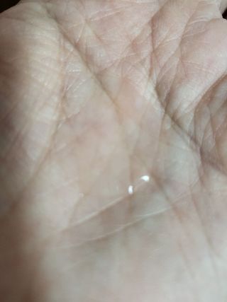 엄지숙님이 올린 리뷰 사진 2