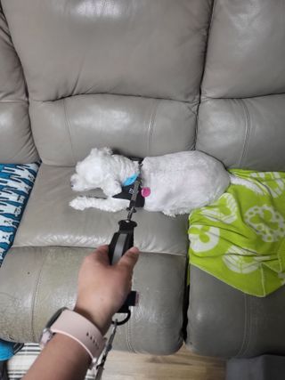 진진이님이 올린 리뷰 사진 2