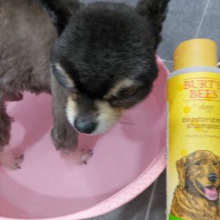 복도리님이 올린 리뷰 사진 1