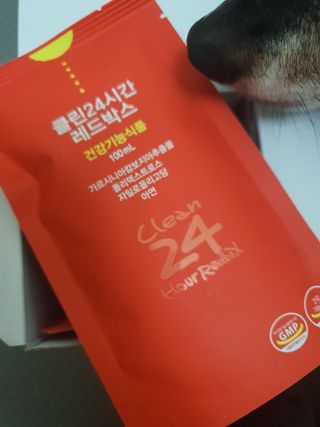 내새꾸쵸코님이 올린 리뷰 사진 2