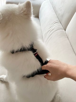 오로라님이 올린 리뷰 사진 2