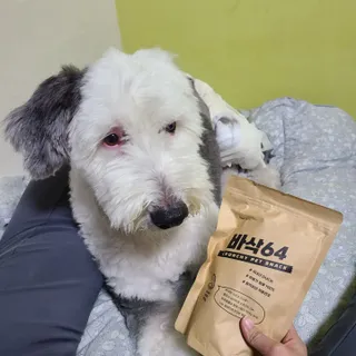 [보헤리] 국내산 강아지 육포간식 바삭 64 2종 — 4점을 준 리뷰어가 2022년 4월 올린 사용 사진