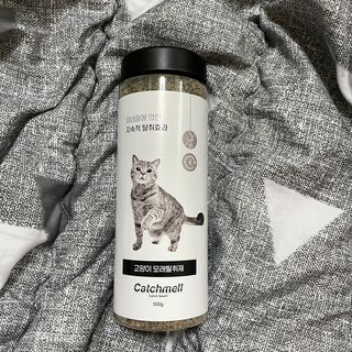 송이님이 올린 리뷰 사진 1