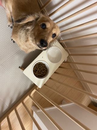 치토스님이 올린 리뷰 사진 2
