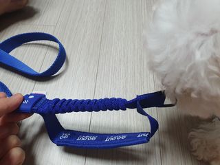 엘쏘둥님이 올린 리뷰 사진 1