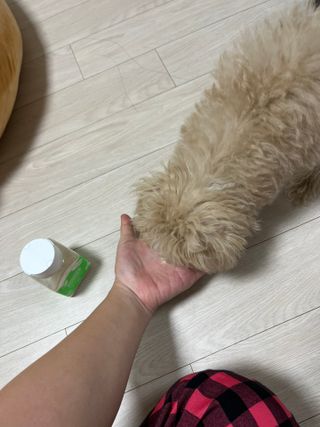 안늉숭늉님이 올린 리뷰 사진 3