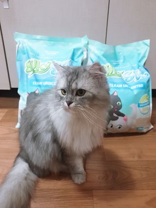 알몽님이 올린 리뷰 사진 1