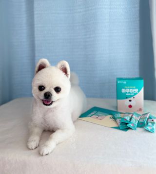 삐루잉님이 올린 리뷰 사진 1