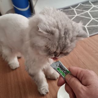 신선님이 올린 리뷰 사진 1