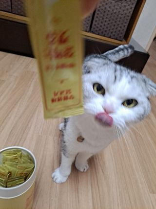 페페로니 잘 먹는 캣츄 - 무항생제 닭고기 24개입 — 5점을 준 리뷰어가 2021년 7월 올린 사용 사진
