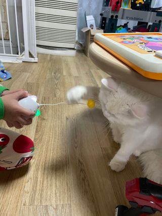 코코월드님이 올린 리뷰 사진 3