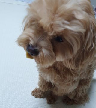 아코맘님이 올린 리뷰 사진 4